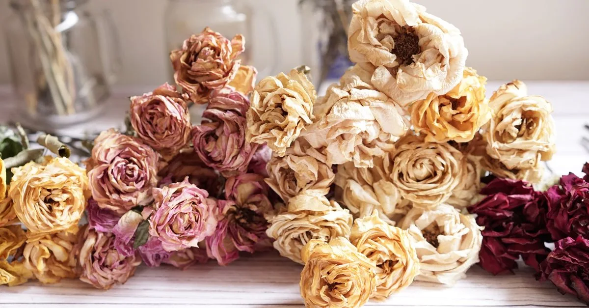 découvrez les meilleures méthodes pour faire sécher vos fleurs tout en préservant leur éclat et leurs couleurs naturelles.