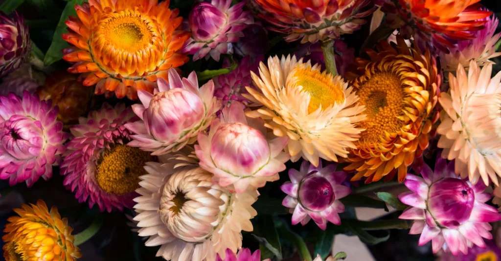découvrez des fleurs durables qui conservent leur beauté plus longtemps et apportent une touche élégante à votre intérieur ou à vos événements.