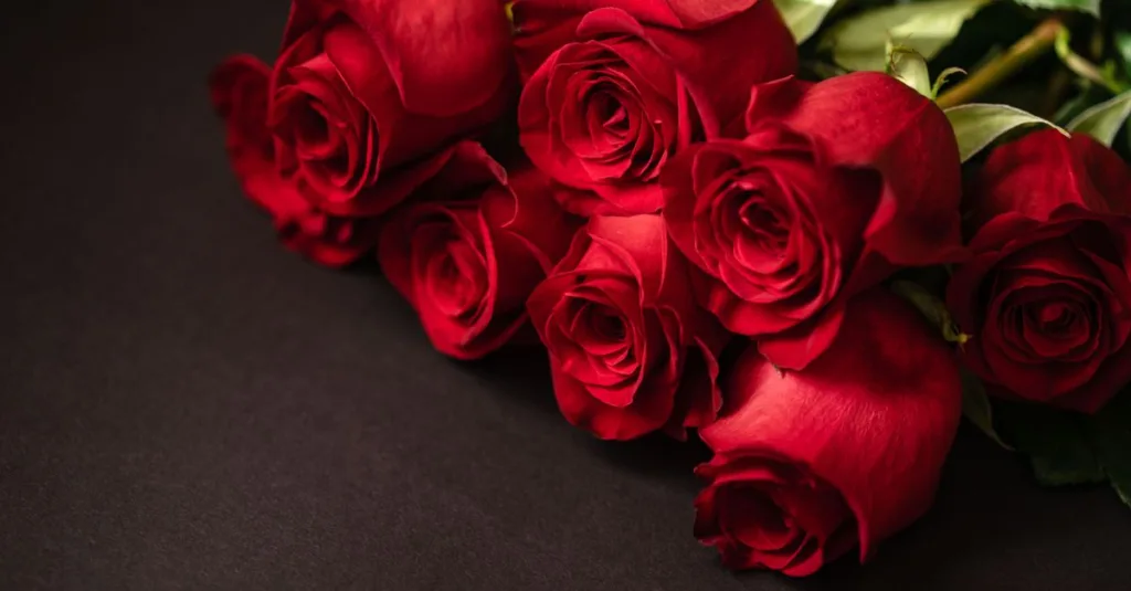 découvrez la signification du nombre de roses offertes : chaque bouquet exprime un message différent, de l’amour à l’amitié.