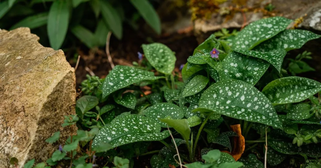 découvrez les plus belles fleurs adaptées à l’ombre et apprenez à créer un jardin coloré et florissant, même dans les zones peu ensoleillées.
