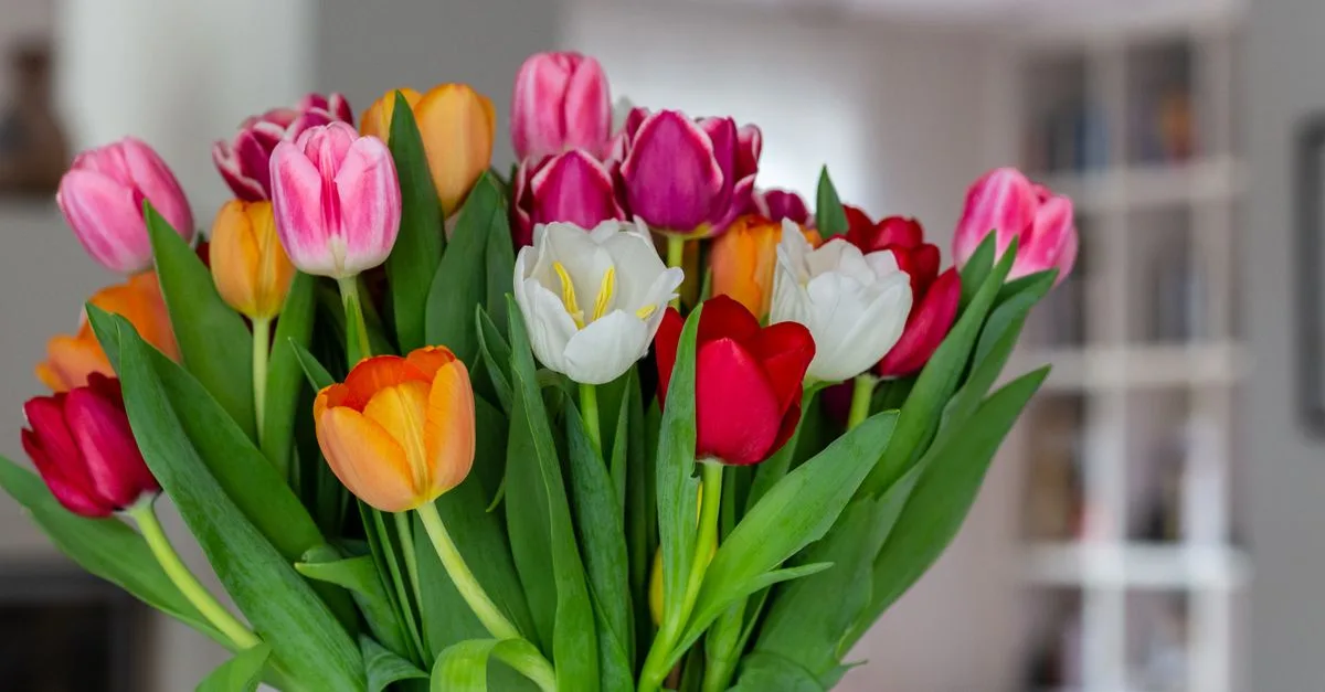 découvrez comment garder vos tulipes coupées bien droites dans un vase grâce à des conseils simples pour les préparer, les soutenir et prolonger leur fraîcheur.